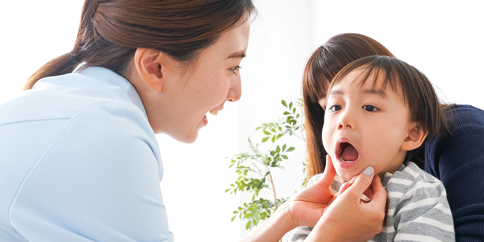 年齢別の歯科ケア